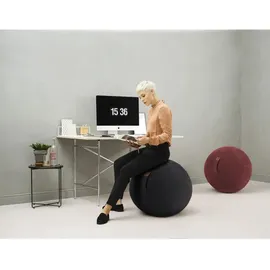 Sitting Ball ALFA Sitzball schwarz 65,0 cm