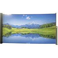 Garden Pleasure Seitenmarkise Motiv Bergsee 160 x 300 cm Silbergrau Aluminium