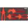 VIGOR Weichschaumeinlage, leer, V5633N-L, L x B x H: 393x 188x 35 mm