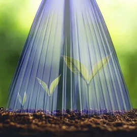 Relaxdays Pflanzenhut 32er Set Schneckenschutz Frostschutz HxBxT 22 x 19 x 19 cm lila