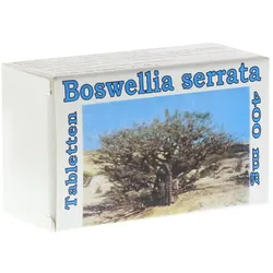 Boswellia Serrata 400 mg Tabletten 100 St