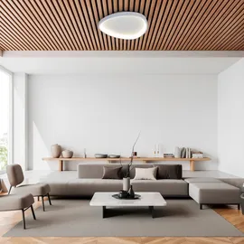 NÄVE LED / CCT Deckenleuchte "ARGESA" Inkl. Meteor-Licht L/B: 60,5cm