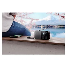 Sharp DR-P520 grau