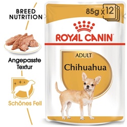 ROYAL CANIN Chihuahua Adult Hundefutter nass in Soße 12 x 85 g