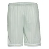 Karl Kani KM232-005-1 KK Retro Pinstripes Mesh Short - Grün