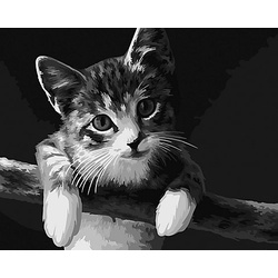 Malen nach Zahlen auf Leinwand "Katze", 50 x 40 cm