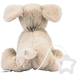 Sterntaler Spieluhr M Hund Lucky
