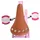 Volare Excellent 12 Zoll rosa
