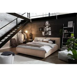 KAWOLA Bett CARLO Polsterbett Stoff steingrau 140x200cm