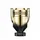 Paco Rabanne Invictus Elixir Parfum 100 ml