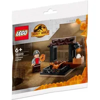LEGO Jurassic World Dinosaurier-Markt 30390
