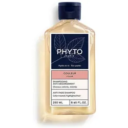 Phyto  Accessoires Haare Color Farbschutzshampoo  in multifarben, Einheitsgrösse
