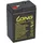 KungLong 3-FM-4 6V 4500 mAh 1 St.