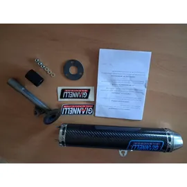 GIANNELLI YAMAHA DT 125 R E 04/05 EEC E13 CARBON F IBRE SILENCER, Ohne