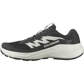 Salomon Alphaglide Damen Schwarz/Grau 40