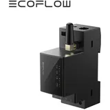 EcoFlow Smart Meter Balkonkraftwerk
