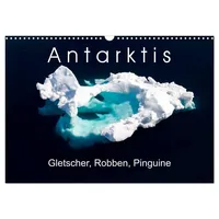 Calvendo Antarktis Gletscher, Robben, Pinguine (Wandkalender 2026 DIN A3