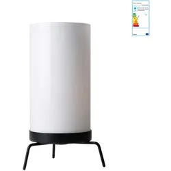 Fritz Hansen - Planner PM02 Tischleuchte, opal / schwarz