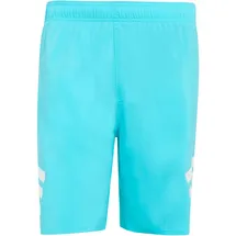 adidas 3-Streifen 8-Inch Badeshorts Lucid Cyan/White 3XL