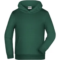 James & Nicholson Kinder Basic Kapuzensweat - Farbe grün,