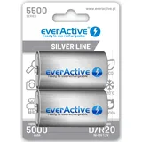 Everactive EVHRL20-5500