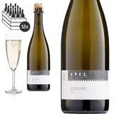 12er Karton Elbling Sekt brut von Weingut Hubertus M. Apel - Sekt