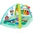 Baby Einstein Spielbogen mit Activity-Spieldecke 4in1 Farm Explorers, mehrfarbig