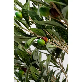Kare Deko Pflanze Olive Tree 120cm",