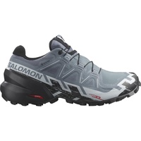 Salomon Speedcross 6 Gore-Tex Damen flint stone/black/heather 40 2/3