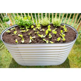 Westmann Metall Hochbeet Grow Faster silber 160 x 80 x 82 cm silber