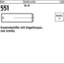 F. REYHER Nchfg. GmbH & Co. KG Gewindestift DIN 551 Kegelkuppe/Schlitz M8 x 6 14 H 100 Stück