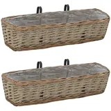 vidaXL Balkon-Blumentöpfe 60 x 18 x 13 cm braun 2 St.