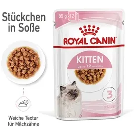 Royal Canin Kitten Instinctive in Soße 12 x 85 g