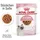 Royal Canin Kitten Instinctive in Soße 12 x 85 g