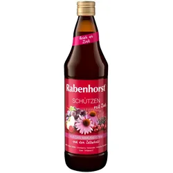 RABENHORST schützen mit Zink Saft 700 ml