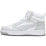 Herren Puma White-Ash Gray 40