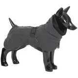 Paikka Visibility Hundemantel 20 cm Schwarz