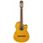 IBANEZ GA3ECE-OAM Standard