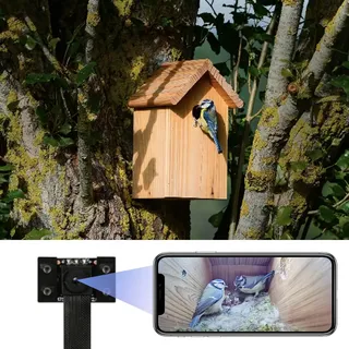 WIWACAM 4K Mini Kamera WLAN für Nistkästen, mit live übertragung auf Handy, Nachtsicht, Akku, SD-Kartenschacht, MW5 Nistkasten Version