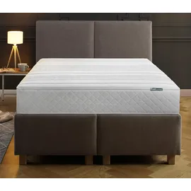 fan ProVita Relax 1.000 T 100 x 200 cm H3