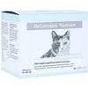 ReConvales Tonicum Katze 6 x 45 ml