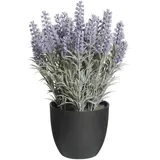 aplanta Künstlicher Lavendel - Lotte | 36 cm,