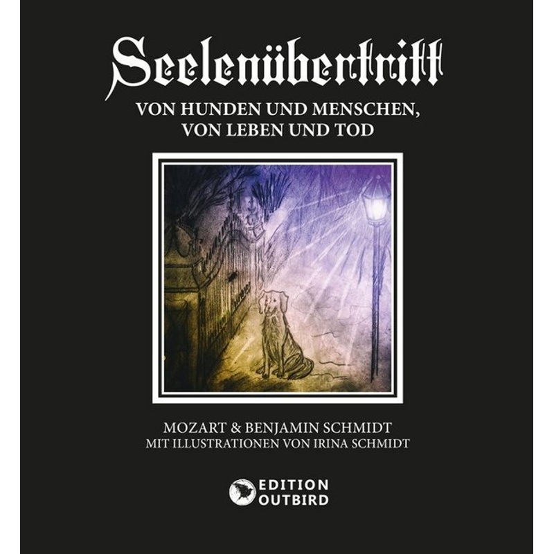 Seelenübertritt - Mozart, Benjamin Schmidt, Gebunden