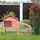 PawHut Freilaufgehege 144 x 64,5 x 100 cm Natur