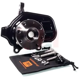 gh Achsschenkel, Achsschenkel Radlagergehäuse Komplett GH-283611H