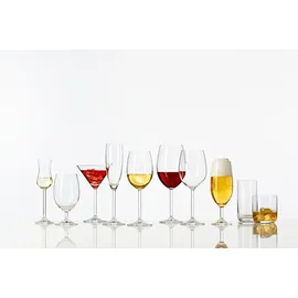 LEONARDO Daily 300 ml Glas Transparent Klar