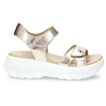 Panama Jack Schnürschuh in gold | Gr.: 40