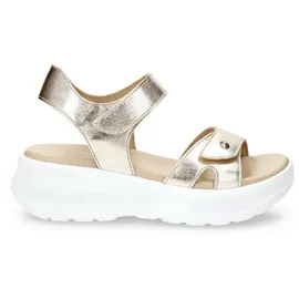 Panama Jack Schnürschuh in gold | Gr.: 40