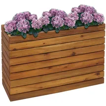Proregal Pflanzkasten 63 x 41 x 23 cm Braun