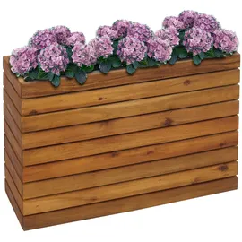 Proregal Pflanzkasten 63 x 41 x 23 cm Braun
